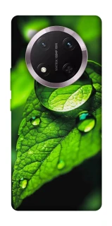 Чехол на Honor X9c Flowers v16 фото 1 из 1