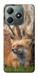 Чехол на Realme C61 Лиса фото 1 из 1