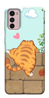 Чохол на Motorola Moto G42 Cat the meow фото 1 з 1