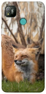 Чехол на TECNO POP 4 Лиса фото 1 из 1