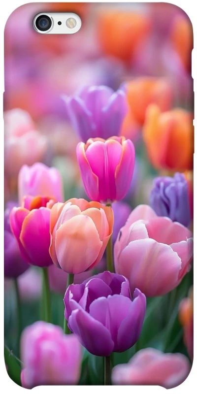 Чохол на Apple iPhone 6/6s plus (5.5") Тюльпанове поле фото 1 з 1