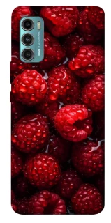 Чехол на Motorola Moto G60 Малинка фото 1 из 1