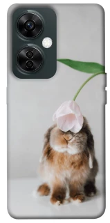 Чохол на OnePlus Nord CE 3 Lite Bunny фото 1 з 1