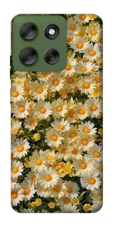 Чохол на Motorola Moto G56 5G Camomile фото 1 з 1