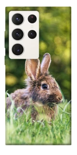 Чехол на Samsung Galaxy S23 Ultra Кролики фото 1 из 1