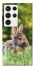 Чехол на Samsung Galaxy S23 Ultra Кролики фото 1 из 1