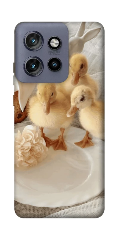 Чехол на Motorola Edge 50 Neo Easter Vibes фото 1 из 1