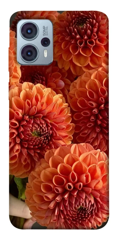 Чохол на Motorola Moto G23 Flower1 фото 1 з 1