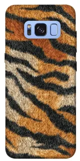 Чехол на Samsung G950 Galaxy S8 Tiger фото 1 из 1