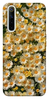 Чехол на Realme 6 Camomile фото 1 из 1