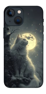 Чохол на Apple iPhone 13 mini (5.4") Кіт під місяцем фото 1 з 1