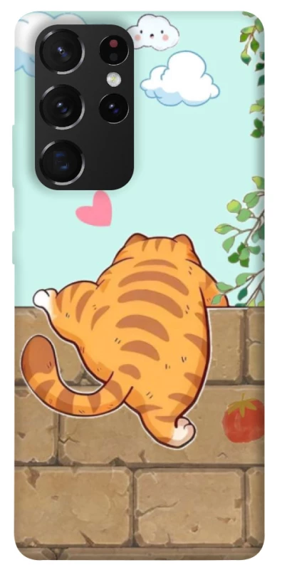Чохол на Samsung Galaxy S21 Ultra Cat the meow фото 1 з 1