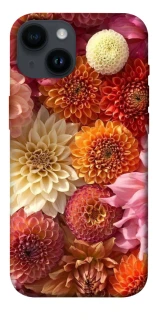 Чохол на Apple iPhone 14 (6.1") Bouquet фото 1 з 1