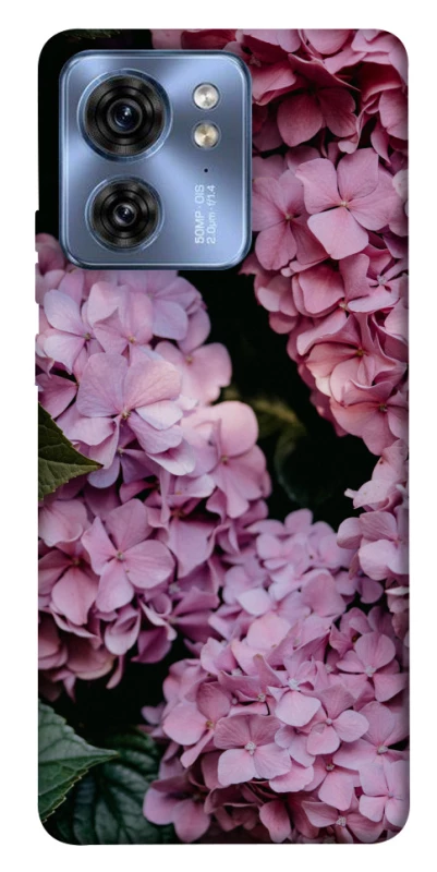 Чохол на Motorola Edge 40 Рожеві гартензії фото 1 з 1