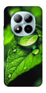 Чохол на Xiaomi Redmi Note 15 Pro+ 5G Flowers v16 фото 1 з 1