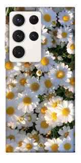 Чохол на Samsung Galaxy S23 Ultra Поле ромашок фото 1 з 1