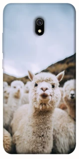 Чохол на Xiaomi Redmi 8a Лама фото 1 з 1
