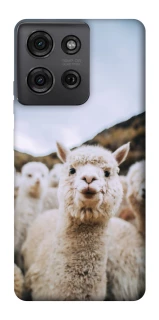 Чехол на Motorola Moto G75 Лама фото 1 из 1