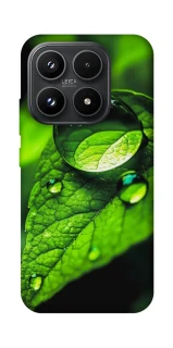 Чохол на Xiaomi 17 Flowers v16 фото 1 з 1