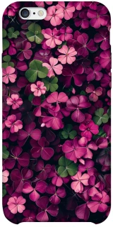 Чохол на Apple iPhone 6/6s plus (5.5") Flowers v7 фото 1 з 1