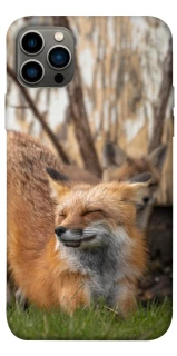 Чехол на Apple iPhone 12 Pro (6.1") Лиса фото 1 из 1