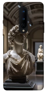 Чехол на OnePlus 8 statue фото 1 из 1