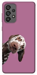 Чохол на Samsung Galaxy A73 5G А що тут фото 1 з 1