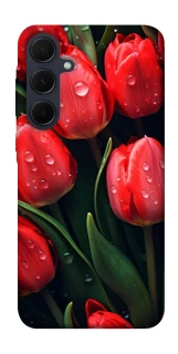 Чохол на Samsung Galaxy A55 Червоні тюльпани фото 1 Чохол на Samsung Galaxy A55 Червоні тюльпани фото 1 з 1