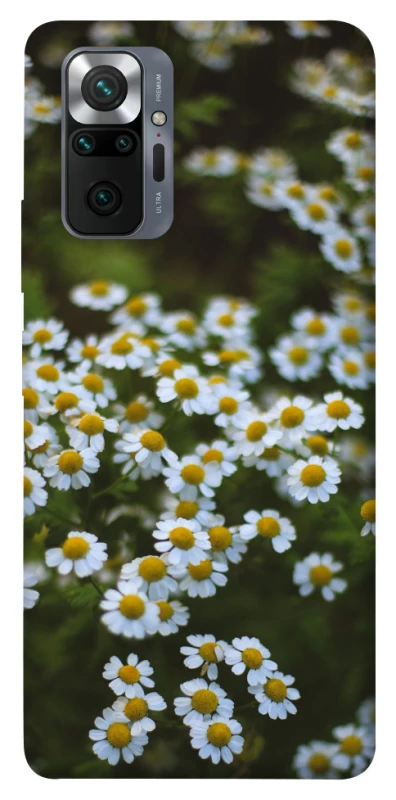 Чехол на Xiaomi Redmi Note 10 Pro Ромашки v13 фото 1 из 1