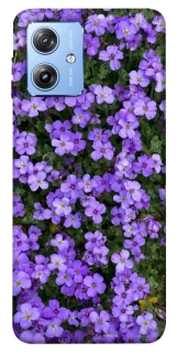 Чохол на Motorola Moto G84 Flowers v17 фото 1 з 1