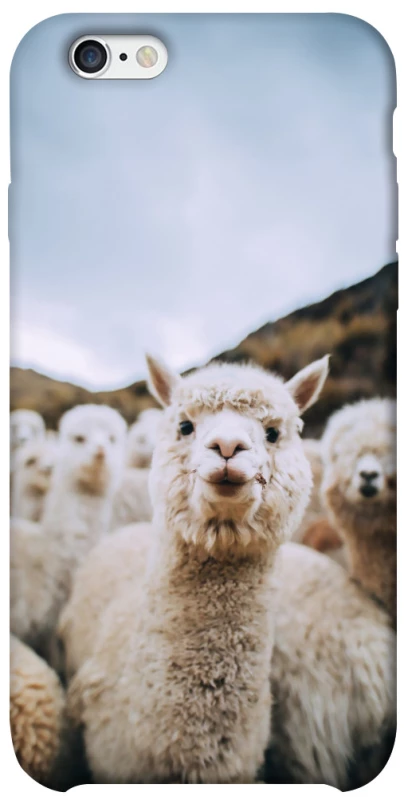 Чохол на Apple iPhone 6/6s (4.7") Лама фото 1 з 1