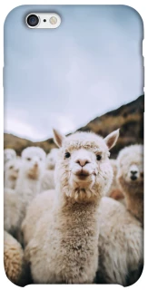 Чохол на Apple iPhone 6/6s (4.7") Лама фото 1 з 1