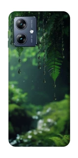 Чохол на Motorola Moto G54 Power rain forest фото 1 з 1