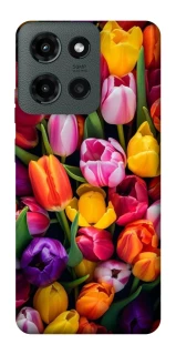 Чехол на Motorola Moto G Power (2025) Flowers v30 фото 1 из 1