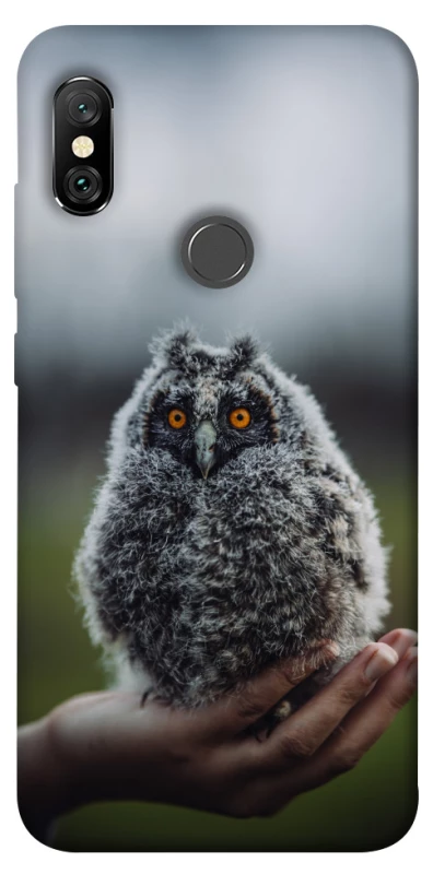 Чохол на Xiaomi Redmi Note 6 Pro Совеня фото 1 з 1