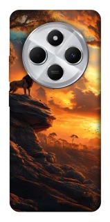 Чохол на Xiaomi Redmi 14C / Poco C75 lion king фото 1 з 1