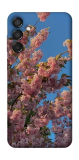 Чехол на Samsung Galaxy M15 5G Flowers v4 фото 1 из 1