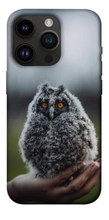 Чохол на Apple iPhone 14 Pro (6.1") Совеня фото 1 з 1