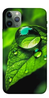 Чохол на Apple iPhone 11 Pro (5.8") Flowers v16 фото 1 з 1