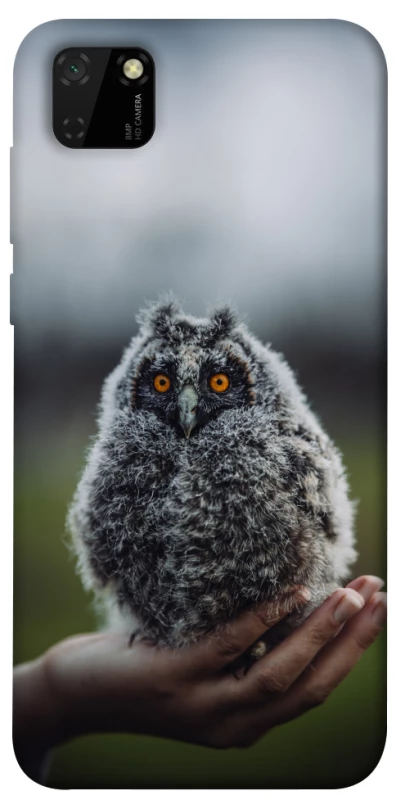 Чехол на Huawei Y5p Совёнок фото 1 из 1
