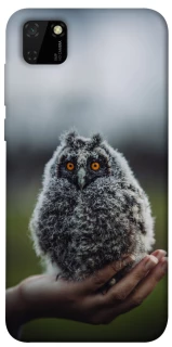 Чохол на Huawei Y5p Совеня фото 1 з 1