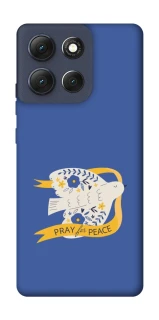 Чехол на Motorola Moto G86 Ласточка фото 1 из 1