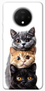 Чохол на OnePlus 7T Гарні котики фото 1 з 1