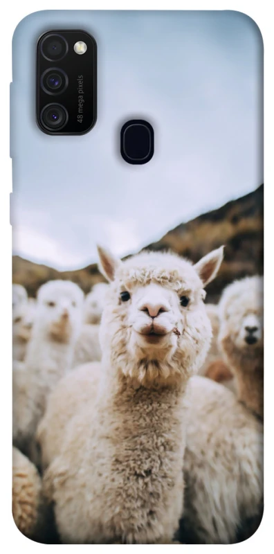 Чохол на Samsung Galaxy M21 Лама фото 1 з 1