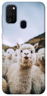 Чохол на Samsung Galaxy M21 Лама фото 1 з 1