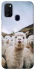 Чехол на Samsung Galaxy M30s / M21 Лама фото 1 из 1