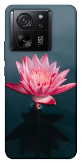 Чохол на Xiaomi 13T Pro Лотос фото 1 з 1