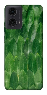 Чехол на Motorola Moto G04 Листья фото 1 из 1