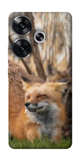 Чехол на Xiaomi Poco F6 Лиса фото 1 из 1