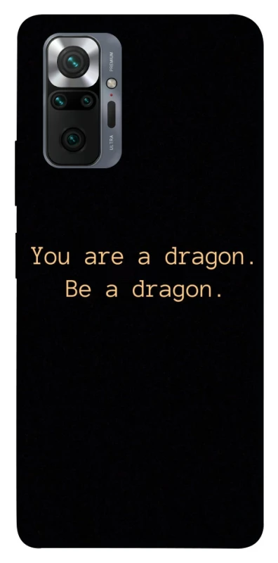 Чехол на Xiaomi Redmi Note 10 Pro House of the Dragon ver.9 фото 1 из 1